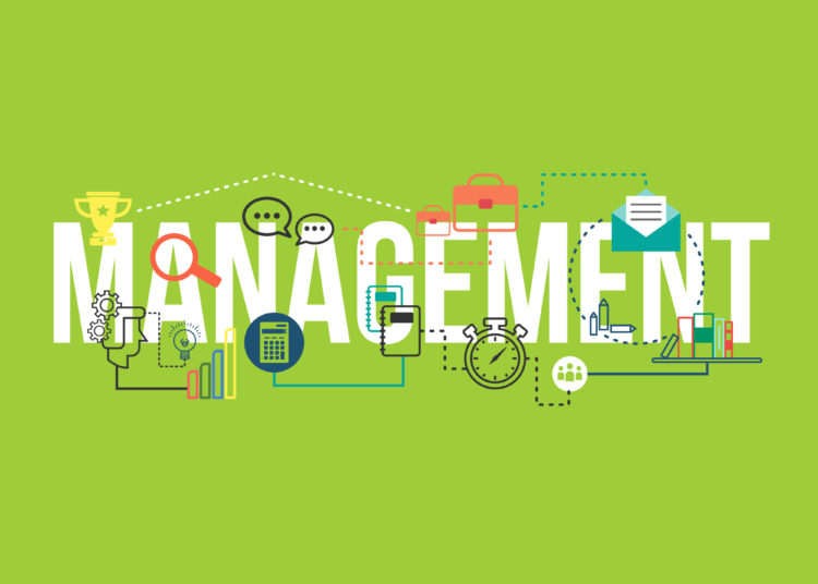 Management graphic on the green background