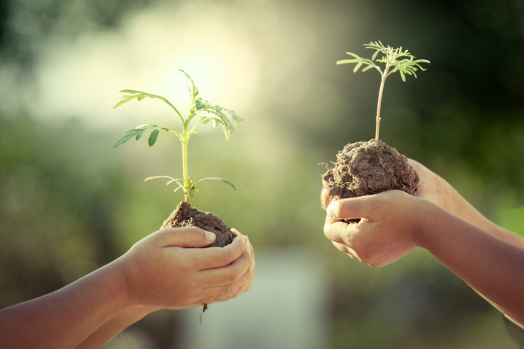 Children Holding Young Plant In Hands As Save World Concept