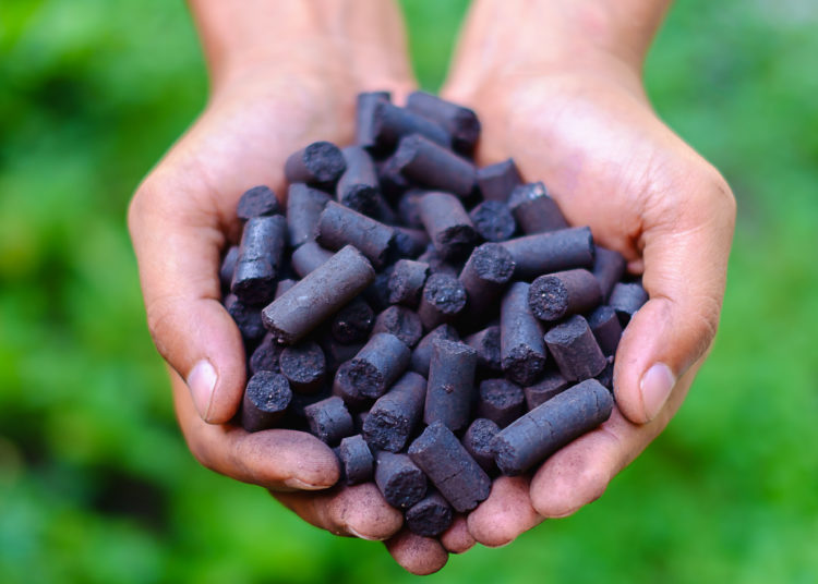 Selective focus of coal pellet in worker's hands against the blurred green natural background, energy concept