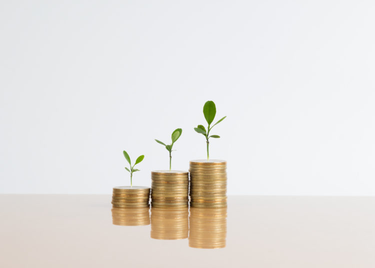 golden coins stack and tree growing on top