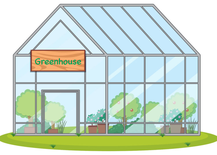 large greenhouse with plants illustration